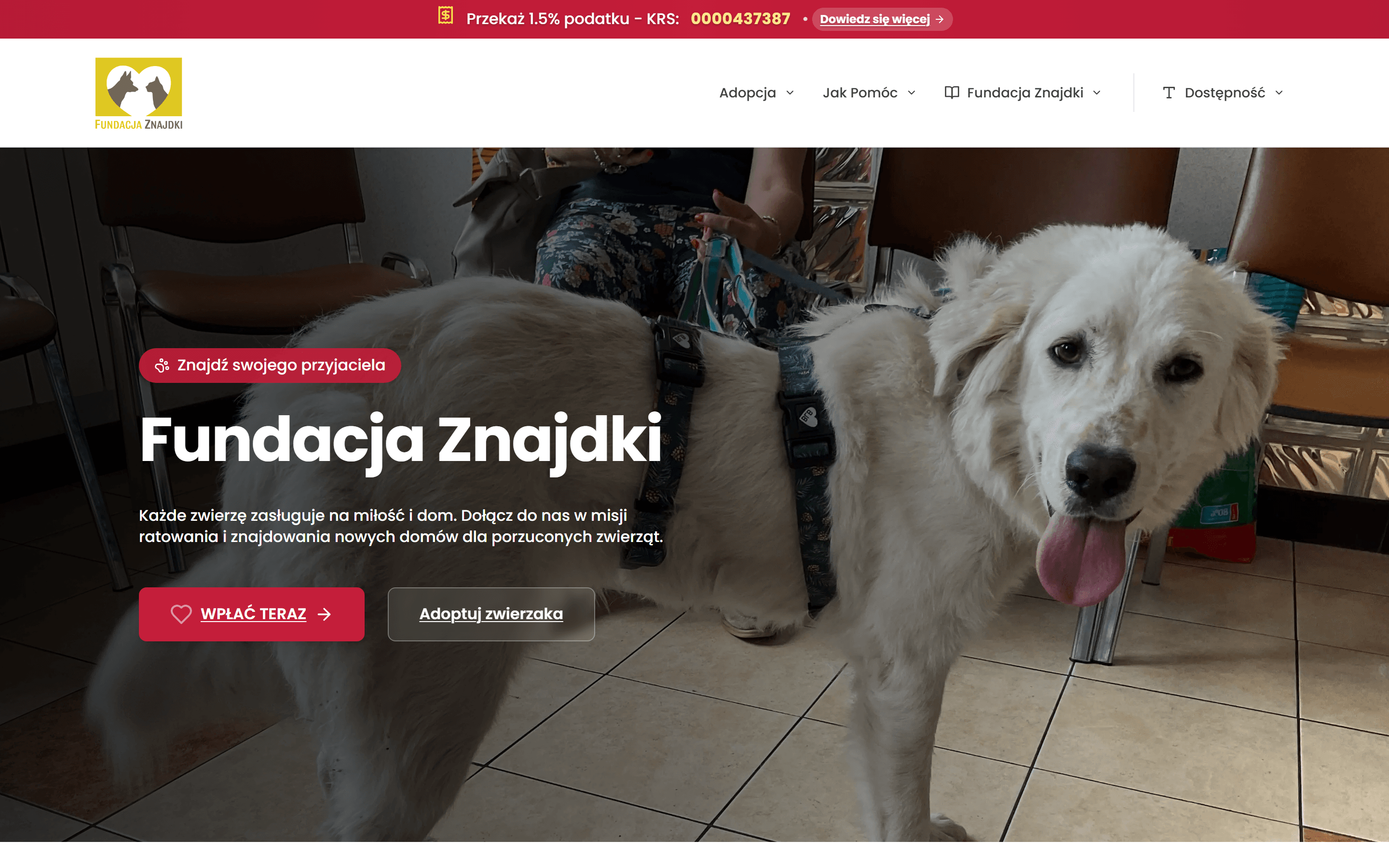 Strona główna serwisu Fundacji Znajdki z dużym zdjęciem psa i przyciskami wpłaty oraz adopcji.